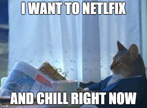 I Should Buy A Boat Cat | I WANT TO NETLFIX AND CHILL RIGHT NOW | image tagged in memes,i should buy a boat cat | made w/ Imgflip meme maker