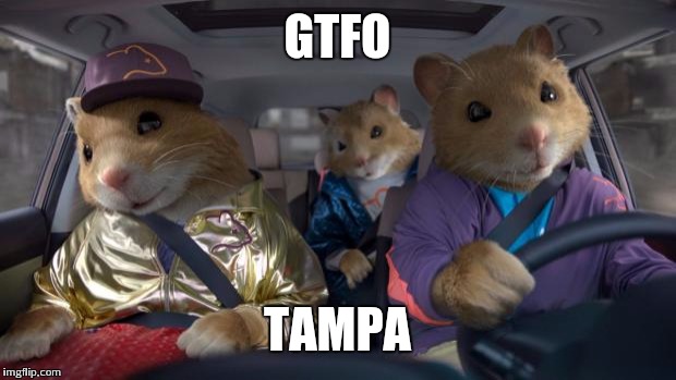 Cool Kia Hamsters | GTFO TAMPA | image tagged in cool kia hamsters | made w/ Imgflip meme maker
