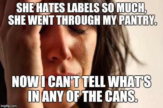 First World Problems Meme | SHE HATES LABELS SO MUCH, SHE WENT THROUGH MY PANTRY. NOW I CAN'T TELL WHAT'S IN ANY OF THE CANS. | image tagged in memes,first world problems | made w/ Imgflip meme maker