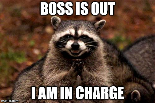 Evil Plotting Raccoon Meme | BOSS IS OUT I AM IN CHARGE | image tagged in memes,evil plotting raccoon | made w/ Imgflip meme maker