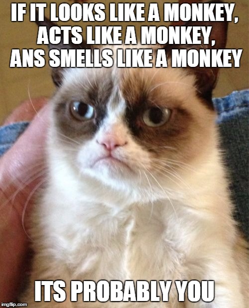 Grumpy Cat | IF IT LOOKS LIKE A MONKEY, ACTS LIKE A MONKEY, ANS SMELLS LIKE A MONKEY ITS PROBABLY YOU | image tagged in memes,grumpy cat | made w/ Imgflip meme maker