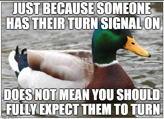 Actual Advice Mallard | JUST BECAUSE SOMEONE HAS THEIR TURN SIGNAL ON DOES NOT MEAN YOU SHOULD FULLY EXPECT THEM TO TURN | image tagged in memes,actual advice mallard,AdviceAnimals | made w/ Imgflip meme maker