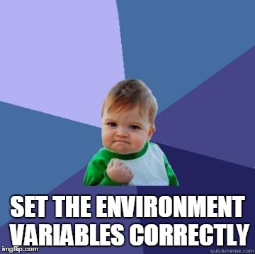 success kid | SET THE ENVIRONMENT VARIABLES CORRECTLY | image tagged in success kid,memes | made w/ Imgflip meme maker