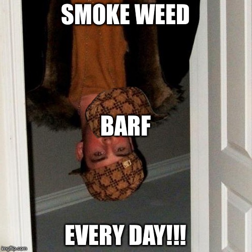 Scumbag Steve | SMOKE WEED EVERY DAY!!! BARF | image tagged in memes,scumbag steve,scumbag | made w/ Imgflip meme maker