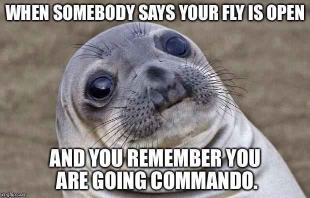 Awkward Moment Sealion | WHEN SOMEBODY SAYS YOUR FLY IS OPEN AND YOU REMEMBER YOU ARE GOING COMMANDO. | image tagged in memes,awkward moment sealion | made w/ Imgflip meme maker