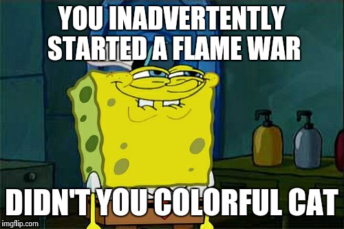 Don't You Squidward Meme | YOU INADVERTENTLY STARTED A FLAME WAR DIDN'T YOU COLORFUL CAT | image tagged in memes,dont you squidward | made w/ Imgflip meme maker