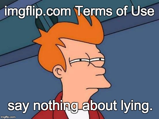 Futurama Fry Meme | imgflip.com Terms of Use say nothing about lying. | image tagged in memes,futurama fry | made w/ Imgflip meme maker