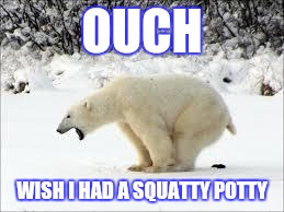 pooping bear | OUCH WISH I HAD A SQUATTY POTTY | image tagged in pooping bear | made w/ Imgflip meme maker