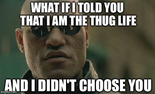 Matrix Morpheus Meme | WHAT IF I TOLD YOU THAT I AM THE THUG LIFE AND I DIDN'T CHOOSE YOU | image tagged in memes,matrix morpheus | made w/ Imgflip meme maker