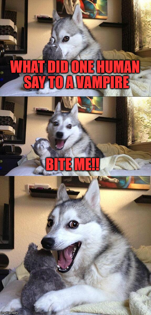 Bad Pun Dog | WHAT DID ONE HUMAN SAY TO A VAMPIRE BITE ME!! | image tagged in memes,bad pun dog,scumbag | made w/ Imgflip meme maker