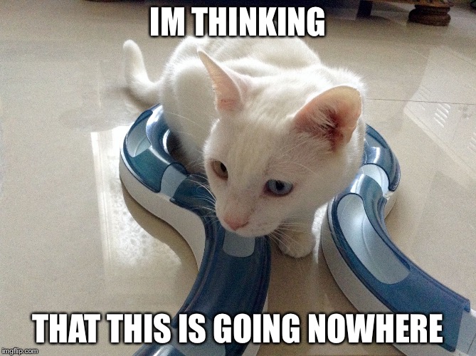 #Diamond #MiaowsAndMe | IM THINKING THAT THIS IS GOING NOWHERE | image tagged in diamond miaowsandme,cats,lolcats,funny memes | made w/ Imgflip meme maker