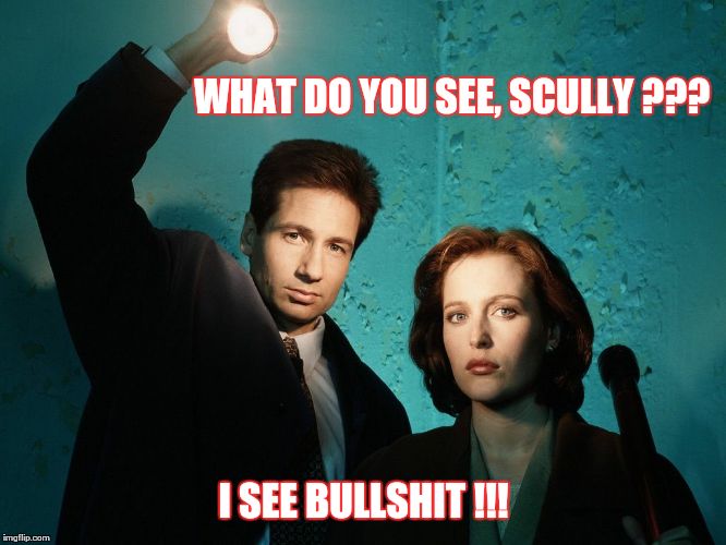X files | WHAT DO YOU SEE, SCULLY ??? I SEE BULLSHIT !!! | image tagged in x files | made w/ Imgflip meme maker