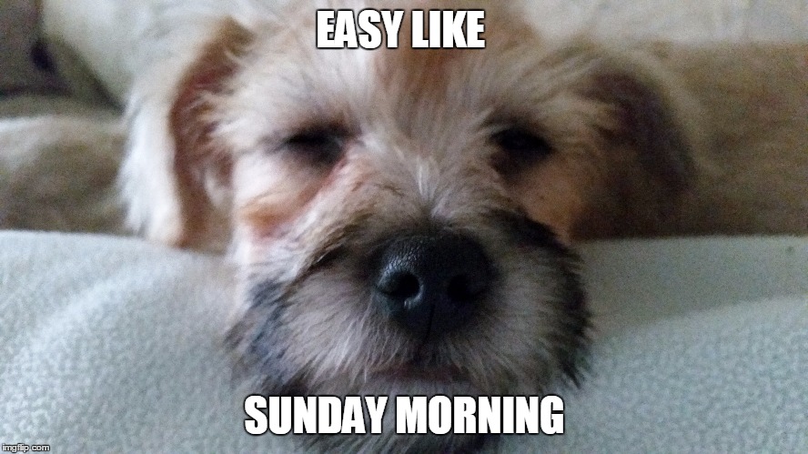 EASY LIKE SUNDAY MORNING | image tagged in nutmeg | made w/ Imgflip meme maker