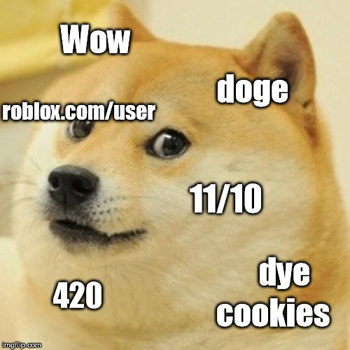 Doge much
 | Wow doge 11/10 420 cookies dye roblox.com/user | image tagged in memes,doge | made w/ Imgflip meme maker