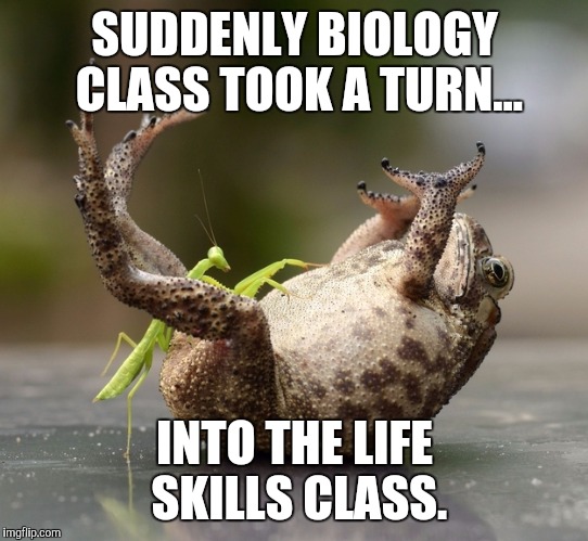 Praying Mantis Technique | SUDDENLY BIOLOGY CLASS TOOK A TURN... INTO THE LIFE SKILLS CLASS. | image tagged in praying mantis technique | made w/ Imgflip meme maker