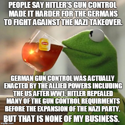 But That's None Of My Business | PEOPLE SAY HITLER'S GUN CONTROL MADE IT HARDER FOR THE GERMANS TO FIGHT AGAINST THE NAZI TAKEOVER. GERMAN GUN CONTROL WAS ACTUALLY ENACTED B | image tagged in memes,but thats none of my business,kermit the frog | made w/ Imgflip meme maker