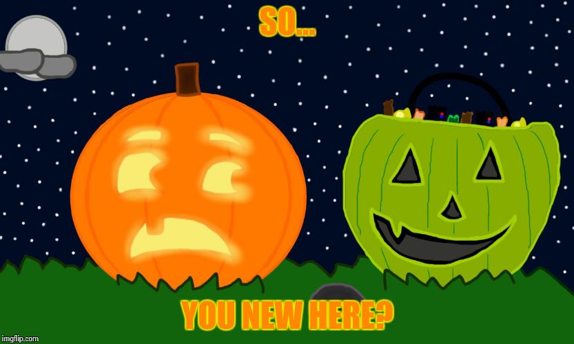 SO... YOU NEW HERE? | image tagged in pumpkin and not pumpkin | made w/ Imgflip meme maker