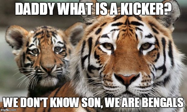 tigers bullpen with real tigers | DADDY WHAT IS A KICKER? WE DON'T KNOW SON, WE ARE BENGALS | image tagged in tigers bullpen with real tigers | made w/ Imgflip meme maker