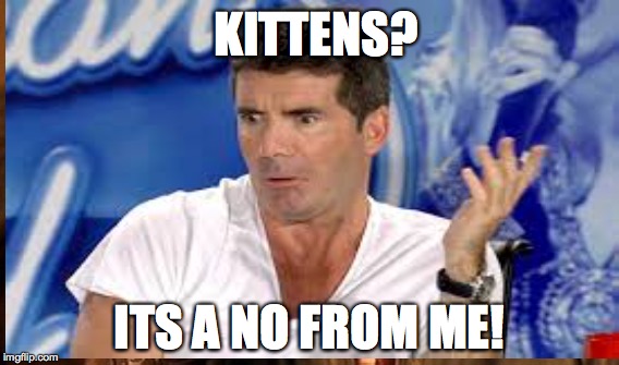 Simon hates nearly everything! | KITTENS? ITS A NO FROM ME! | image tagged in simon cowell | made w/ Imgflip meme maker