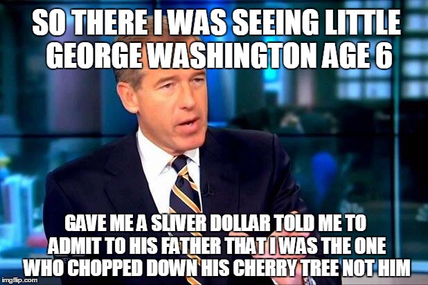 Brian Williams Was There 2 | SO THERE I WAS SEEING LITTLE GEORGE WASHINGTON AGE 6 GAVE ME A SLIVER DOLLAR TOLD ME TO ADMIT TO HIS FATHER THAT I WAS THE ONE WHO CHOPPED D | image tagged in memes,brian williams was there 2 | made w/ Imgflip meme maker