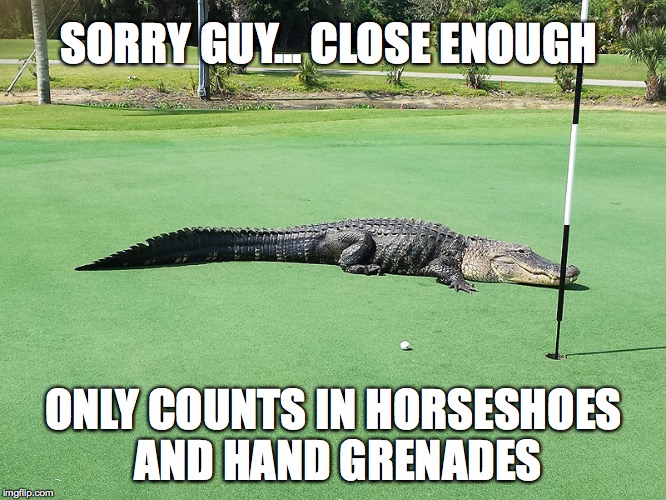 Not a Gimme | SORRY GUY... CLOSE ENOUGH ONLY COUNTS IN HORSESHOES AND HAND GRENADES | image tagged in alligator,golf,putt,missed putt,sorry guy close enough only counts in horseshoes and hand grenades | made w/ Imgflip meme maker