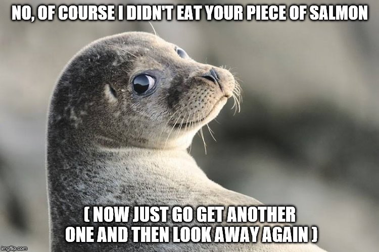 Knowing seal | NO, OF COURSE I DIDN'T EAT YOUR PIECE OF SALMON ( NOW JUST GO GET ANOTHER ONE AND THEN LOOK AWAY AGAIN ) | image tagged in smiling,seal,steal,your,salmon | made w/ Imgflip meme maker