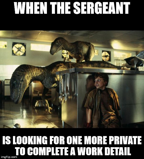 jurassic park | WHEN THE SERGEANT IS LOOKING FOR ONE MORE PRIVATE TO COMPLETE A WORK DETAIL | image tagged in jurassic park | made w/ Imgflip meme maker