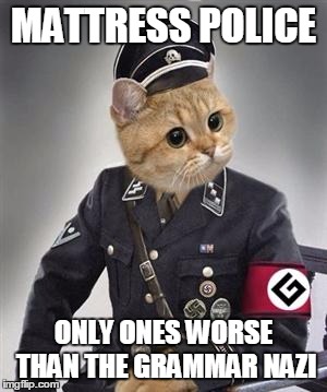 Grammar Nazi Cat | MATTRESS POLICE ONLY ONES WORSE THAN THE GRAMMAR NAZI | image tagged in grammar nazi cat | made w/ Imgflip meme maker