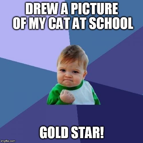Success Kid | DREW A PICTURE OF MY CAT AT SCHOOL GOLD STAR! | image tagged in memes,success kid | made w/ Imgflip meme maker