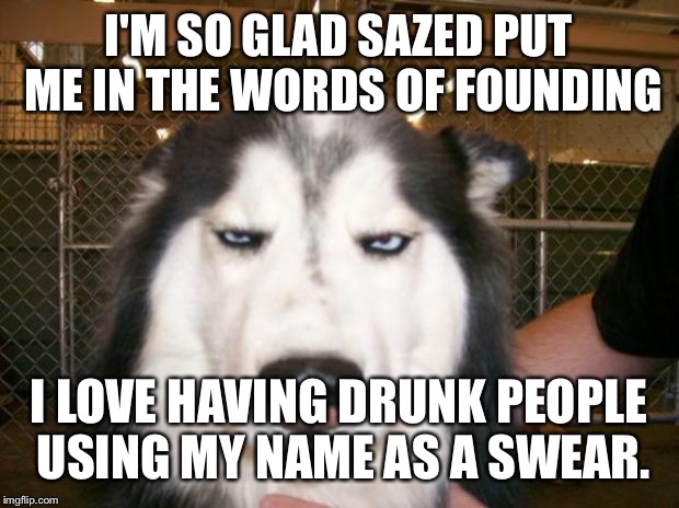 Annoyed Dog | I'M SO GLAD SAZED PUT ME IN THE WORDS OF FOUNDING I LOVE HAVING DRUNK PEOPLE USING MY NAME AS A SWEAR. | image tagged in annoyed dog | made w/ Imgflip meme maker