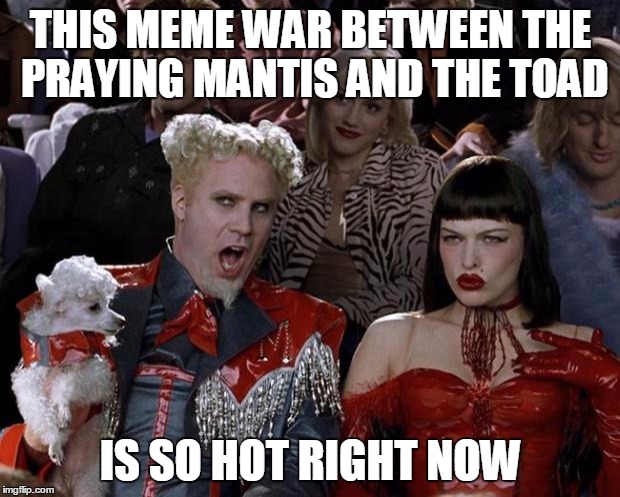 Mugatu So Hot Right Now Meme | THIS MEME WAR BETWEEN THE PRAYING MANTIS AND THE TOAD IS SO HOT RIGHT NOW | image tagged in memes,mugatu so hot right now | made w/ Imgflip meme maker