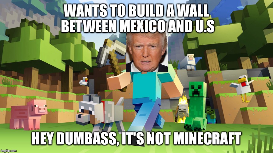 WANTS TO BUILD A WALL BETWEEN MEXICO AND U.S HEY DUMBASS, IT'S NOT MINECRAFT | image tagged in donald trump | made w/ Imgflip meme maker