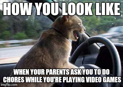 Unhelpful Cat | HOW YOU LOOK LIKE WHEN YOUR PARENTS ASK YOU TO DO CHORES WHILE YOU'RE PLAYING VIDEO GAMES | image tagged in unhelpful cat | made w/ Imgflip meme maker