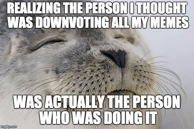 Satisfied Seal Meme | REALIZING THE PERSON I THOUGHT WAS DOWNVOTING ALL MY MEMES WAS ACTUALLY THE PERSON WHO WAS DOING IT | image tagged in memes,satisfied seal | made w/ Imgflip meme maker