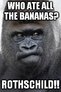 Damn You | WHO ATE ALL THE BANANAS? ROTHSCHILD!! | image tagged in damn you | made w/ Imgflip meme maker