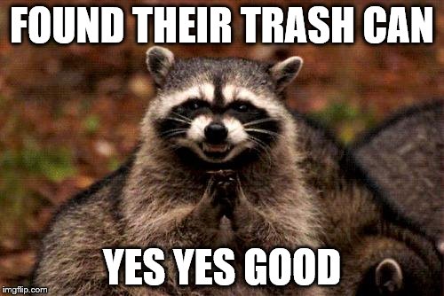 Evil Plotting Raccoon Meme | FOUND THEIR TRASH CAN YES YES GOOD | image tagged in memes,evil plotting raccoon | made w/ Imgflip meme maker