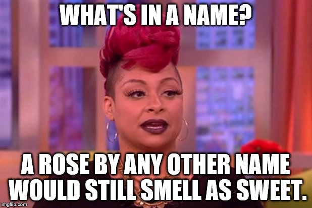 Shut up, Raven. | WHAT'S IN A NAME? A ROSE BY ANY OTHER NAME WOULD STILL SMELL AS SWEET. | image tagged in raven symone,the view,ghetto names,discrimination,racism | made w/ Imgflip meme maker