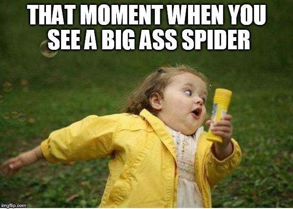 Chubby Bubbles Girl | THAT MOMENT WHEN YOU SEE A BIG ASS SPIDER | image tagged in memes,chubby bubbles girl | made w/ Imgflip meme maker