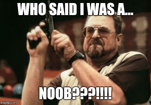 Am I The Only One Around Here | WHO SAID I WAS A... NOOB???!!!! | image tagged in memes,am i the only one around here | made w/ Imgflip meme maker