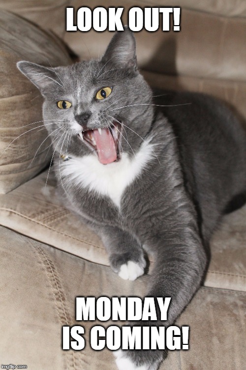 LOOK OUT! MONDAY IS COMING! | image tagged in monday coming | made w/ Imgflip meme maker