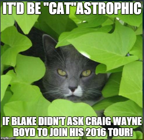 Cat in bush | IT'D BE "CAT"ASTROPHIC IF BLAKE DIDN'T ASK CRAIG WAYNE BOYD TO JOIN HIS 2016 TOUR! | image tagged in cat in bush | made w/ Imgflip meme maker