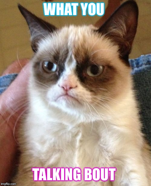 Grumpy Cat Meme | WHAT YOU TALKING BOUT | image tagged in memes,grumpy cat | made w/ Imgflip meme maker