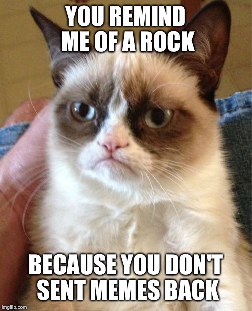 Grumpy Cat | YOU REMIND ME OF A ROCK BECAUSE YOU DON'T SENT MEMES BACK | image tagged in memes,grumpy cat | made w/ Imgflip meme maker