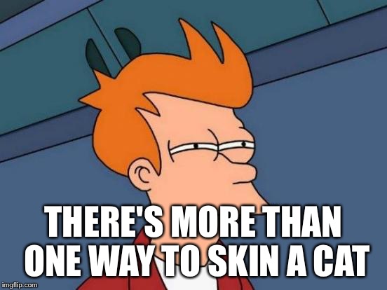 Futurama Fry Meme | THERE'S MORE THAN ONE WAY TO SKIN A CAT | image tagged in memes,futurama fry | made w/ Imgflip meme maker
