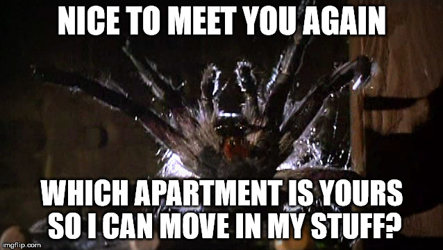 NICE TO MEET YOU AGAIN WHICH APARTMENT IS YOURS SO I CAN MOVE IN MY STUFF? | image tagged in arachnophobia spider | made w/ Imgflip meme maker