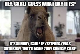 HumpDayCamel | HEY, CARL!  GUESS WHAT DAY IT IS? IT'S SUNDAY, CARL!  IF YESTERDAY WAS SATURDAY, THAT'D MAKE 2DAY SUNDAY, CARL! | image tagged in humpdaycamel | made w/ Imgflip meme maker