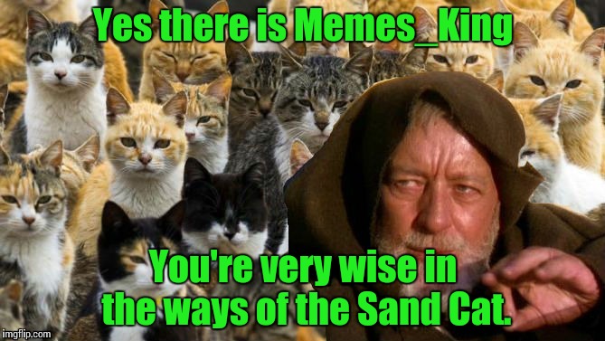 Obi Wan Catnobi | Yes there is Memes_King You're very wise in the ways of the Sand Cat. | image tagged in obi wan catnobi | made w/ Imgflip meme maker
