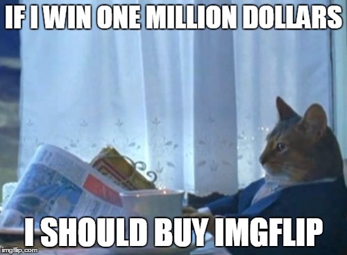 I Should Buy A Boat Cat Meme | IF I WIN ONE MILLION DOLLARS I SHOULD BUY IMGFLIP | image tagged in memes,i should buy a boat cat,imgflip,if i win a million dollars,one million dollars | made w/ Imgflip meme maker