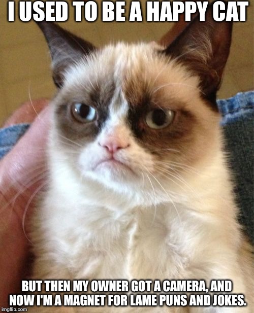 Grumpy Cat | I USED TO BE A HAPPY CAT BUT THEN MY OWNER GOT A CAMERA, AND NOW I'M A MAGNET FOR LAME PUNS AND JOKES. | image tagged in memes,grumpy cat | made w/ Imgflip meme maker