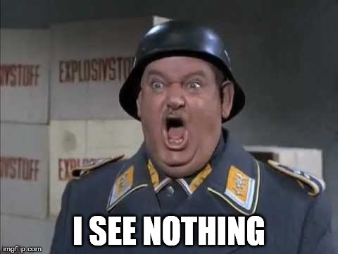 Sgt. Schultz shouting | I SEE NOTHING | image tagged in sgt schultz shouting | made w/ Imgflip meme maker